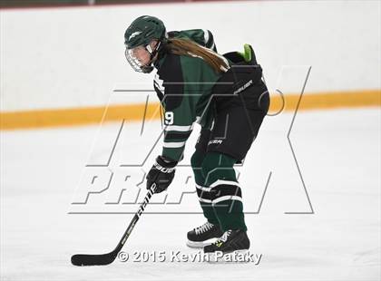 Thumbnail 1 in New Milford vs. Branford (SCC/SWC D2 Final) photogallery.