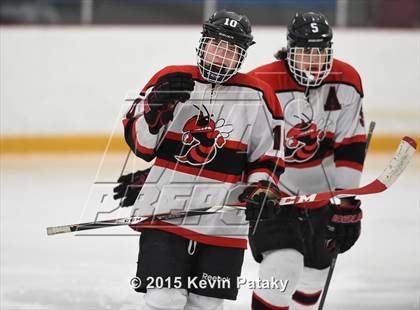 Thumbnail 1 in New Milford vs. Branford (SCC/SWC D2 Final) photogallery.