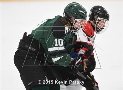 Thumbnail 1 in New Milford vs. Branford (SCC/SWC D2 Final) photogallery.