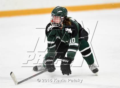 Thumbnail 1 in New Milford vs. Branford (SCC/SWC D2 Final) photogallery.