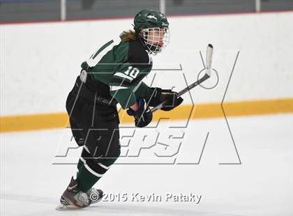 Thumbnail 2 in New Milford vs. Branford (SCC/SWC D2 Final) photogallery.