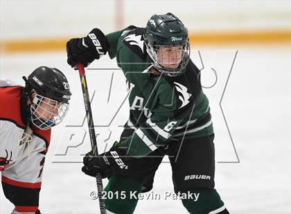 Thumbnail 3 in New Milford vs. Branford (SCC/SWC D2 Final) photogallery.