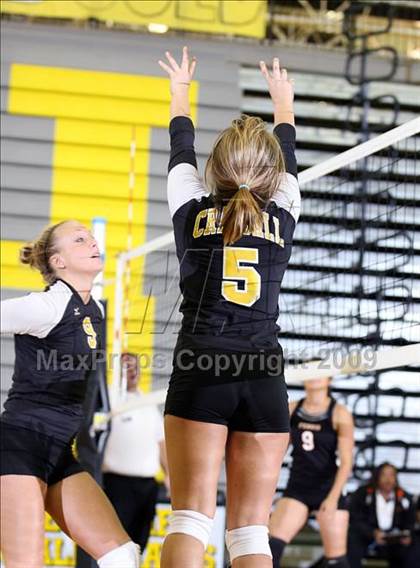 Thumbnail 1 in Ferris @ Crandall photogallery.