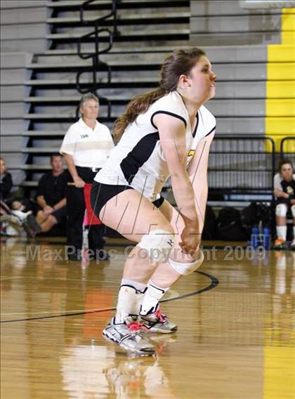 Thumbnail 1 in Ferris @ Crandall photogallery.