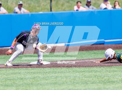 Thumbnail 1 in Holy Family vs. Pueblo County (CHSAA 4A Final) photogallery.