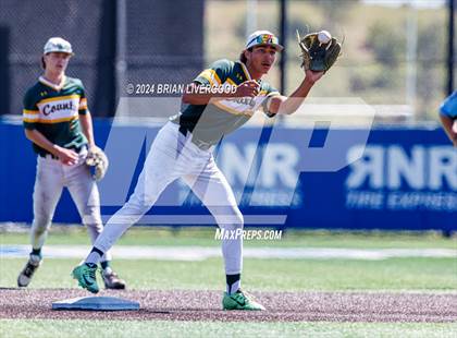Thumbnail 3 in Holy Family vs. Pueblo County (CHSAA 4A Final) photogallery.