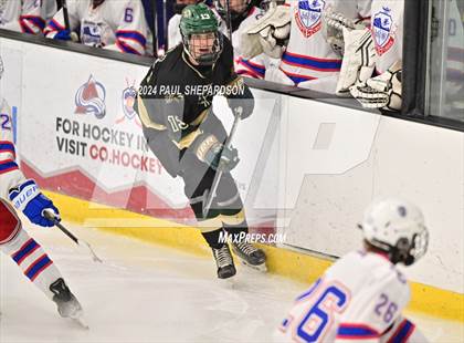 Thumbnail 1 in Cherry Creek vs. Mountain Vista - CHSAA 5A Quarterfinals photogallery.