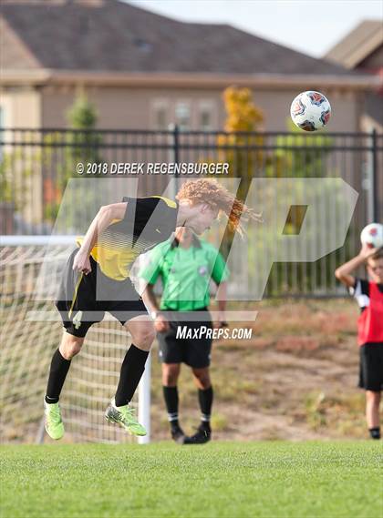 Thumbnail 2 in Kent Denver @ Prospect Ridge Academy photogallery.