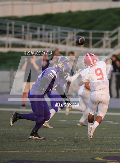 Thumbnail 2 in Santa Maria @ Righetti photogallery.