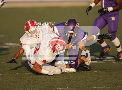 Thumbnail 2 in Santa Maria @ Righetti photogallery.