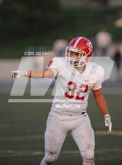 Thumbnail 1 in Santa Maria @ Righetti photogallery.