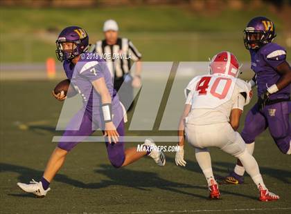 Thumbnail 1 in Santa Maria @ Righetti photogallery.