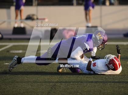 Thumbnail 1 in Santa Maria @ Righetti photogallery.