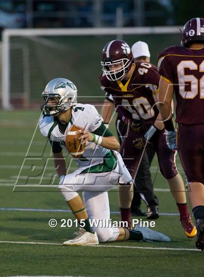 Thumbnail 1 in Minisink Valley @ Kingston photogallery.