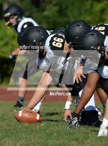 Thumbnail 1 in Amity Regional @ Wilbur Cross photogallery.