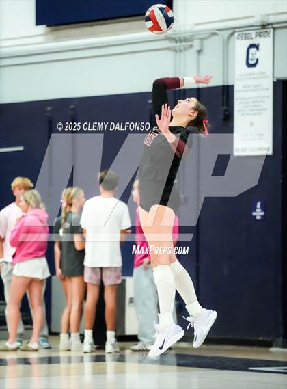 Thumbnail 1 in Chatfield @ Columbine photogallery.