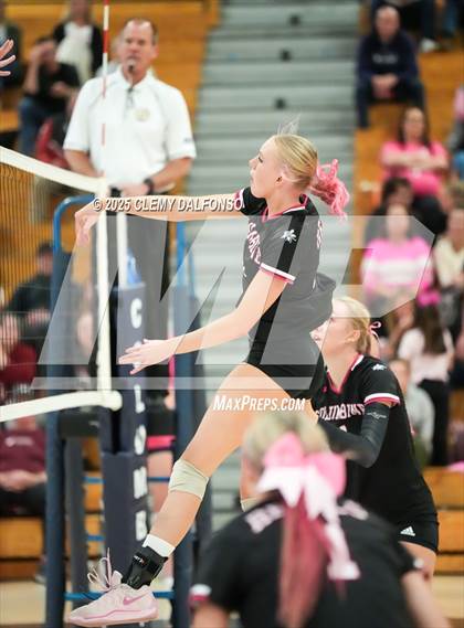 Thumbnail 1 in Chatfield @ Columbine photogallery.
