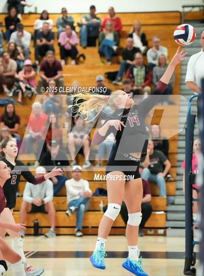 Thumbnail 3 in Chatfield @ Columbine photogallery.