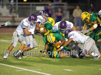 Thumbnail 3 in Warren @ Holmes photogallery.