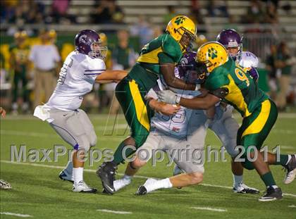 Thumbnail 3 in Warren @ Holmes photogallery.
