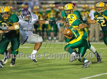 Thumbnail 2 in Warren @ Holmes photogallery.