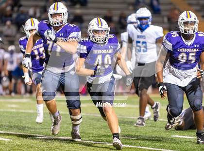 Thumbnail 2 in Bourgeois @ Thibodaux photogallery.