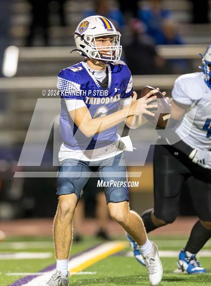 Thumbnail 2 in Bourgeois @ Thibodaux photogallery.
