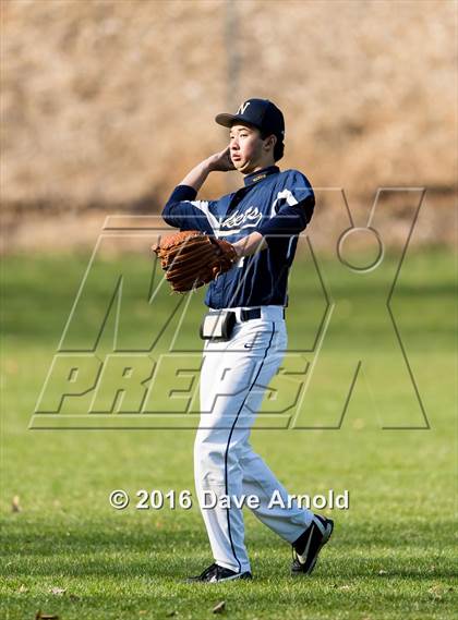 Thumbnail 2 in Framingham @ Needham photogallery.