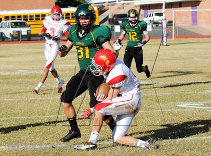Thumbnail 1 in Show Low vs. Seton Catholic (AIA D4 Playoffs) photogallery.