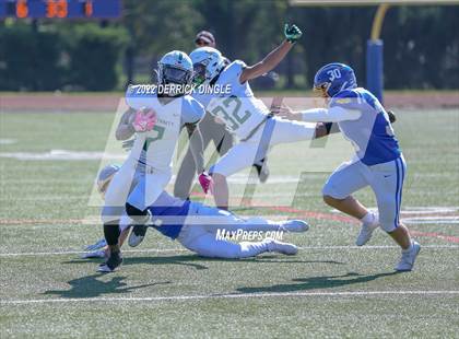 Thumbnail 3 in Holy Trinity @ Kellenberg Memorial photogallery.