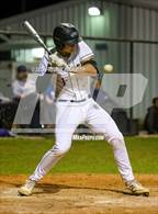 Photo from the gallery "Leonard @ Howe"