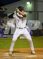 Photo from the gallery "Leonard @ Howe"