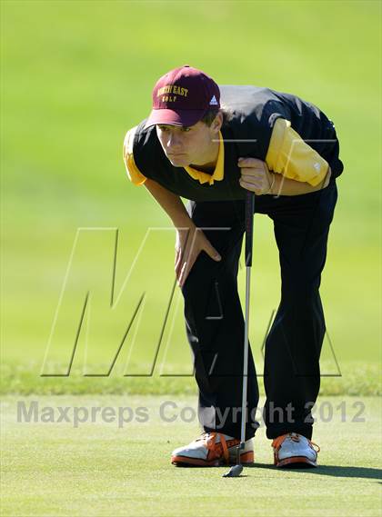 Thumbnail 1 in PIAA Boys Golf Championships photogallery.