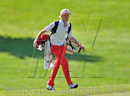 Thumbnail 1 in PIAA Boys Golf Championships photogallery.