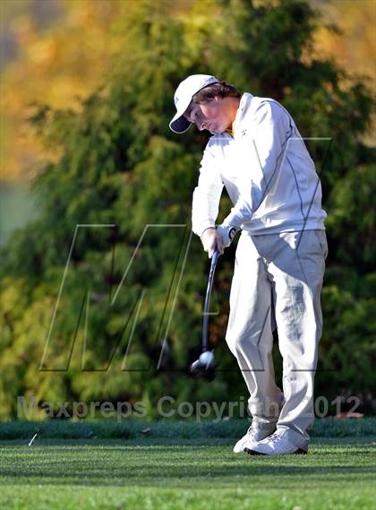 Thumbnail 3 in PIAA Boys Golf Championships photogallery.