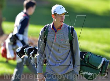 Thumbnail 2 in PIAA Boys Golf Championships photogallery.