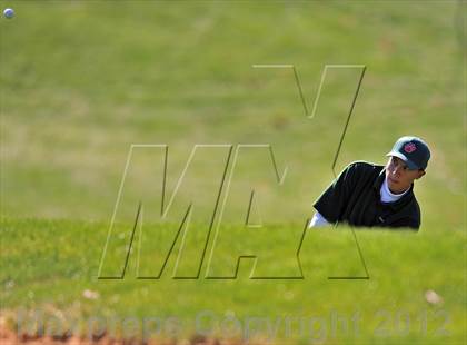 Thumbnail 3 in PIAA Boys Golf Championships photogallery.