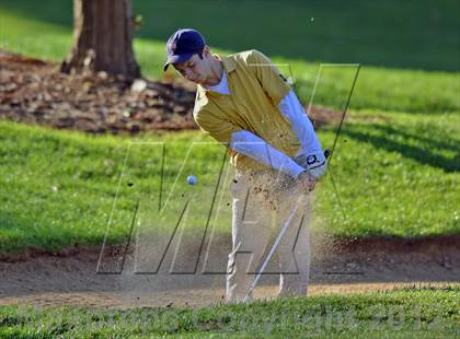 Thumbnail 2 in PIAA Boys Golf Championships photogallery.