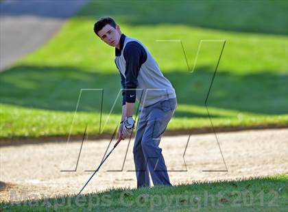 Thumbnail 1 in PIAA Boys Golf Championships photogallery.