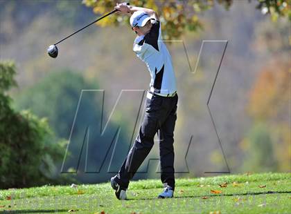 Thumbnail 1 in PIAA Boys Golf Championships photogallery.