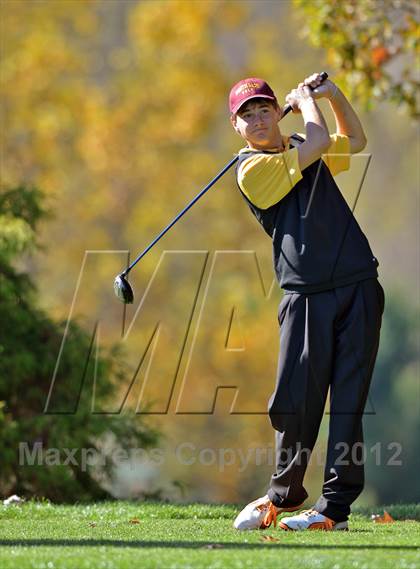 Thumbnail 2 in PIAA Boys Golf Championships photogallery.