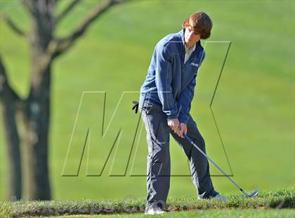 Thumbnail 2 in PIAA Boys Golf Championships photogallery.