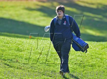 Thumbnail 2 in PIAA Boys Golf Championships photogallery.