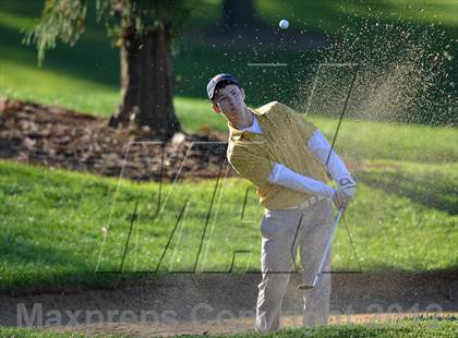 Thumbnail 3 in PIAA Boys Golf Championships photogallery.