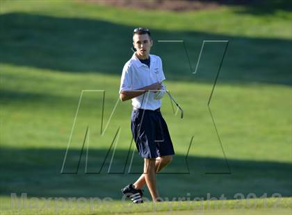 Thumbnail 3 in PIAA Boys Golf Championships photogallery.