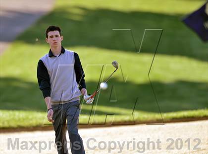 Thumbnail 1 in PIAA Boys Golf Championships photogallery.