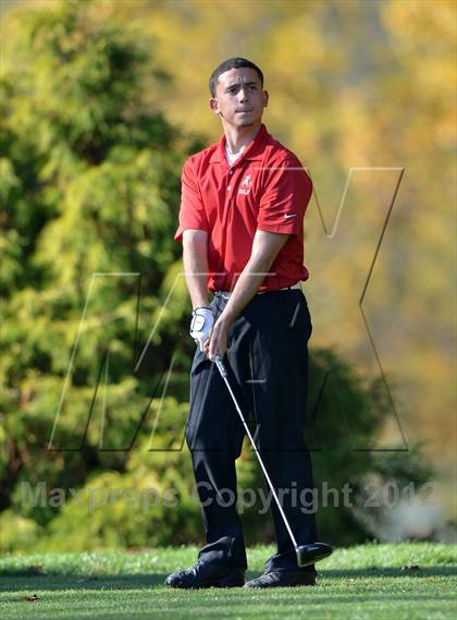 Thumbnail 3 in PIAA Boys Golf Championships photogallery.