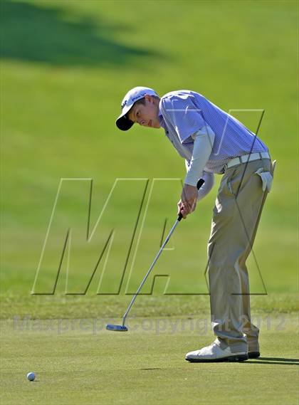 Thumbnail 2 in PIAA Boys Golf Championships photogallery.