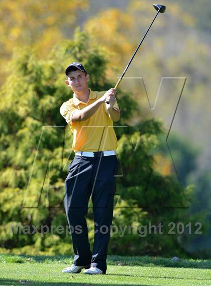 Thumbnail 2 in PIAA Boys Golf Championships photogallery.