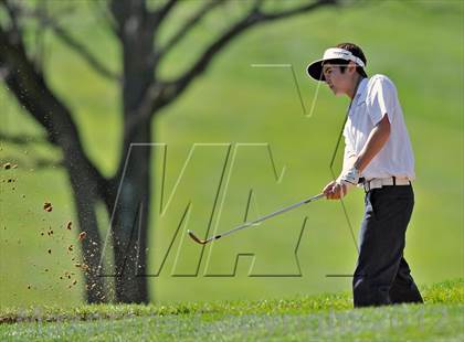 Thumbnail 3 in PIAA Boys Golf Championships photogallery.